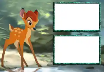 श्रेणी से फ़ोटो प्रभाव डिज्नी कार्टून № 57654