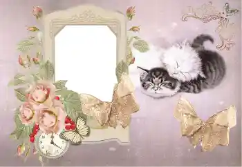 श्रेणी से फ़ोटो प्रभाव स्नान, भोजन, नींद № 153184