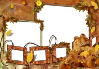 श्रेणी से फ़ोटो प्रभाव स्नान, भोजन, नींद № 160682