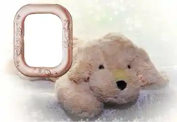 श्रेणी से फ़ोटो प्रभाव मेरे खिलौने और पालतू जानवर № 169102