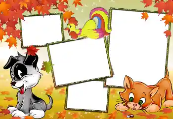 श्रेणी से फ़ोटो प्रभाव मेरे खिलौने और पालतू जानवर № 3929