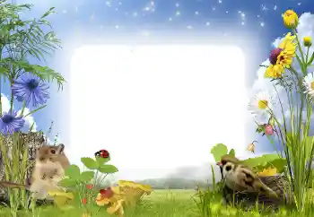 श्रेणी से फ़ोटो प्रभाव देहात में № 141000