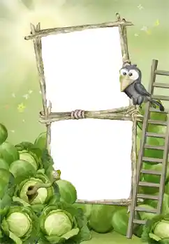 श्रेणी से फ़ोटो प्रभाव पहला साल № 140978