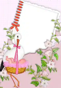 श्रेणी से फ़ोटो प्रभाव पहला साल № 150384