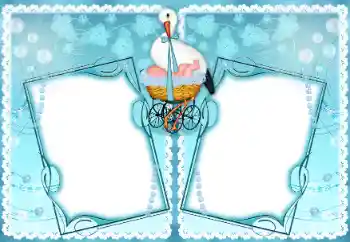 श्रेणी से फ़ोटो प्रभाव पहला साल № 192890