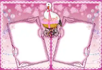 श्रेणी से फ़ोटो प्रभाव पहला साल № 192937