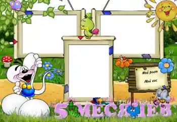 फ़ोटो फ़्रेम पर लेख: ५ महीना