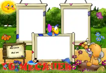 फ़ोटो फ़्रेम पर लेख: १० महीना