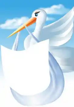 श्रेणी से फ़ोटो प्रभाव पहला साल № 4591