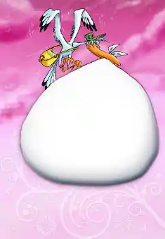 श्रेणी से फ़ोटो प्रभाव पहला साल № 79006