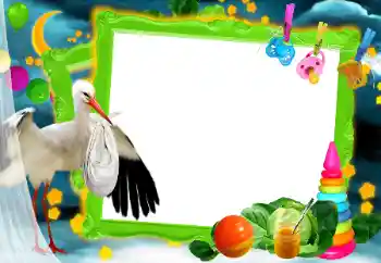 श्रेणी से फ़ोटो प्रभाव पहला साल № 81673