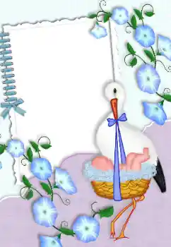 श्रेणी से फ़ोटो प्रभाव पहला साल № 99875