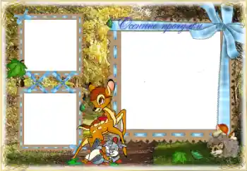 फ़ोटो फ़्रेम पर लेख: सैर