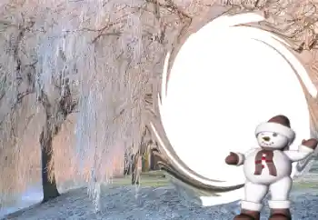 श्रेणी से फ़ोटो प्रभाव शीतकालीन मज़ा № 34077