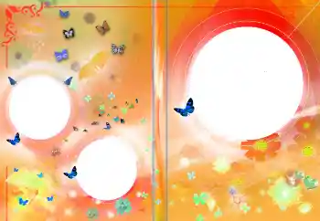 श्रेणी से फ़ोटो प्रभाव डीवीडी कवर № 145141