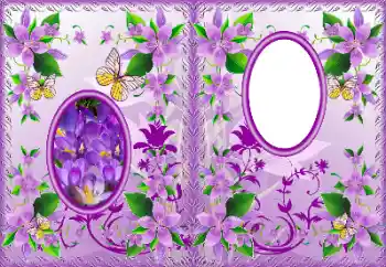 श्रेणी से फ़ोटो प्रभाव डीवीडी कवर № 183322