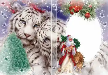 फ़ोटो फ़्रेम पर लेख: नया साल फ़ोटो फ़्रेम पर लेख: नया साल