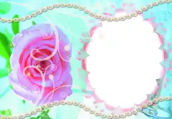 श्रेणी से फ़ोटो प्रभाव निमंत्रण № 9861. फ़ोटो फ़्रेम पर लेख: शादी का निमंत्रण