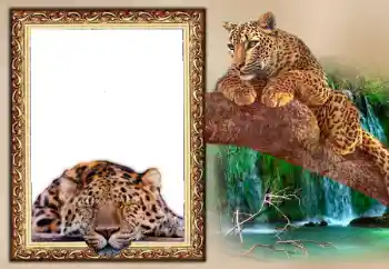 श्रेणी से फ़ोटो प्रभाव कैलेंडर № 169097. फ़ोटो फ़्रेम पर लेख: 2026
