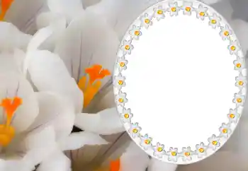 श्रेणी से फ़ोटो प्रभाव कैलेंडर № 80371. फ़ोटो फ़्रेम पर लेख: 2026