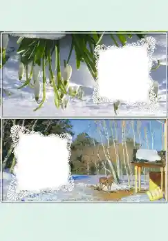 श्रेणी से फ़ोटो प्रभाव मेज़ के № 4524