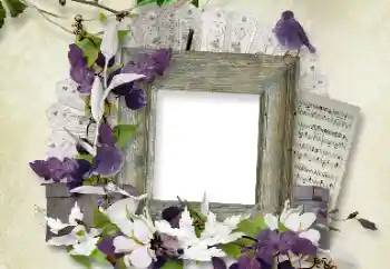 श्रेणी से फ़ोटो प्रभाव विभिन्न № 100112 श्रेणी से फ़ोटो प्रभाव विभिन्न № 100112