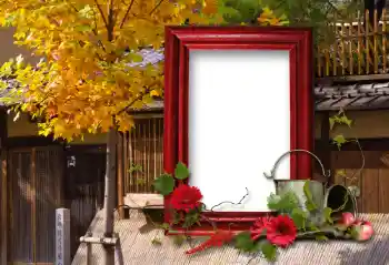 श्रेणी से फ़ोटो प्रभाव विभिन्न № 100114 श्रेणी से फ़ोटो प्रभाव विभिन्न № 100114