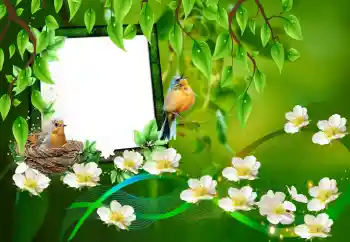 श्रेणी से फ़ोटो प्रभाव विभिन्न № 101227 श्रेणी से फ़ोटो प्रभाव विभिन्न № 101227