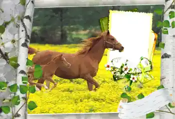 श्रेणी से फ़ोटो प्रभाव विभिन्न № 101264 श्रेणी से फ़ोटो प्रभाव विभिन्न № 101264