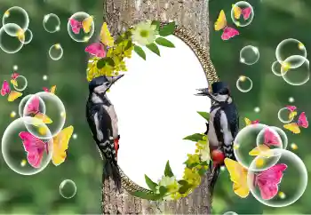 श्रेणी से फ़ोटो प्रभाव विभिन्न № 101320 श्रेणी से फ़ोटो प्रभाव विभिन्न № 101320