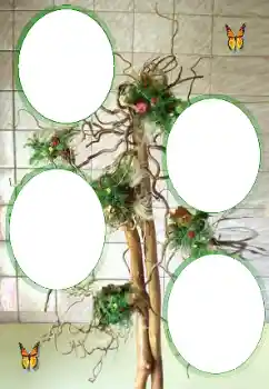 श्रेणी से फ़ोटो प्रभाव विभिन्न № 101323 श्रेणी से फ़ोटो प्रभाव विभिन्न № 101323