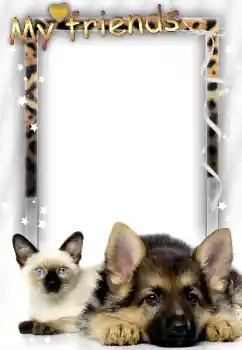 फ़ोटो फ़्रेम पर लेख: मेरे दोस्त फ़ोटो फ़्रेम पर लेख: मेरे दोस्त