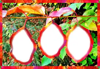 श्रेणी से फ़ोटो प्रभाव विभिन्न № 102598 श्रेणी से फ़ोटो प्रभाव विभिन्न № 102598