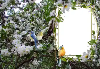 श्रेणी से फ़ोटो प्रभाव विभिन्न № 104101 श्रेणी से फ़ोटो प्रभाव विभिन्न № 104101