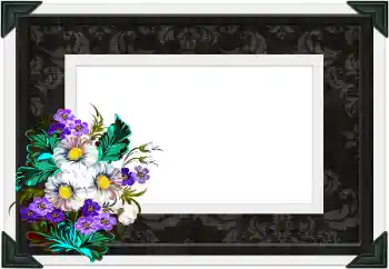 श्रेणी से फ़ोटो प्रभाव विभिन्न № 104106 श्रेणी से फ़ोटो प्रभाव विभिन्न № 104106