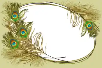 श्रेणी से फ़ोटो प्रभाव विभिन्न № 105263 श्रेणी से फ़ोटो प्रभाव विभिन्न № 105263