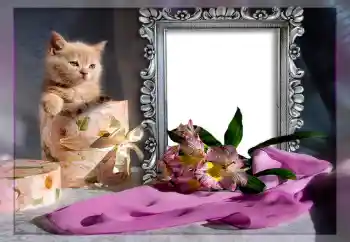 श्रेणी से फ़ोटो प्रभाव विभिन्न № 10835