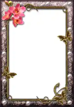 श्रेणी से फ़ोटो प्रभाव विभिन्न № 112004 श्रेणी से फ़ोटो प्रभाव विभिन्न № 112004