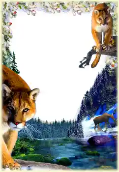 श्रेणी से फ़ोटो प्रभाव विभिन्न № 112361 श्रेणी से फ़ोटो प्रभाव विभिन्न № 112361