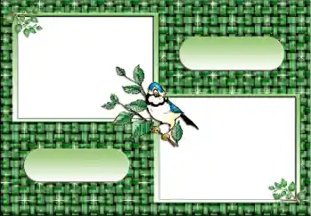 श्रेणी से फ़ोटो प्रभाव विभिन्न № 112641 श्रेणी से फ़ोटो प्रभाव विभिन्न № 112641