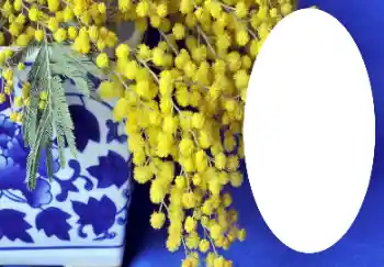 श्रेणी से फ़ोटो प्रभाव विभिन्न № 112719 श्रेणी से फ़ोटो प्रभाव विभिन्न № 112719