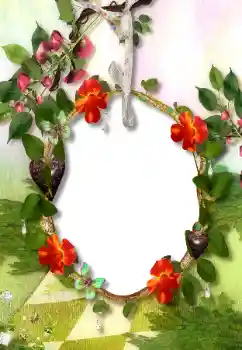 श्रेणी से फ़ोटो प्रभाव विभिन्न № 113118 श्रेणी से फ़ोटो प्रभाव विभिन्न № 113118