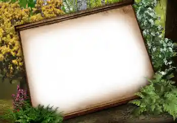 श्रेणी से फ़ोटो प्रभाव विभिन्न № 113134 श्रेणी से फ़ोटो प्रभाव विभिन्न № 113134