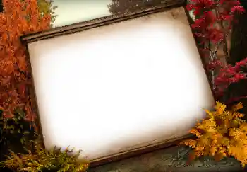 श्रेणी से फ़ोटो प्रभाव विभिन्न № 113138 श्रेणी से फ़ोटो प्रभाव विभिन्न № 113138