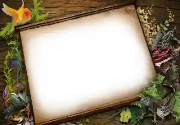 श्रेणी से फ़ोटो प्रभाव विभिन्न № 113139 श्रेणी से फ़ोटो प्रभाव विभिन्न № 113139