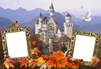 श्रेणी से फ़ोटो प्रभाव विभिन्न № 114211 श्रेणी से फ़ोटो प्रभाव विभिन्न № 114211