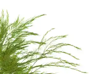 श्रेणी से फ़ोटो प्रभाव विभिन्न № 114378 श्रेणी से फ़ोटो प्रभाव विभिन्न № 114378