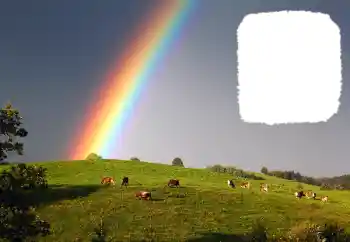 श्रेणी से फ़ोटो प्रभाव विभिन्न № 114599 श्रेणी से फ़ोटो प्रभाव विभिन्न № 114599