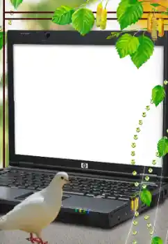 श्रेणी से फ़ोटो प्रभाव विभिन्न № 114633 श्रेणी से फ़ोटो प्रभाव विभिन्न № 114633