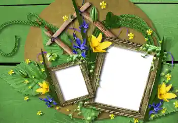 श्रेणी से फ़ोटो प्रभाव विभिन्न № 115748 श्रेणी से फ़ोटो प्रभाव विभिन्न № 115748